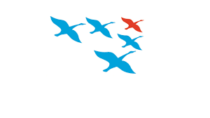 Logo Wilde Ganzen